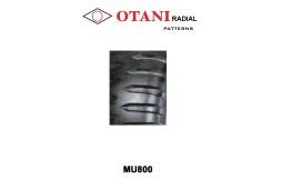 Otani Tyre 1100/20/12 FLAP MU800
