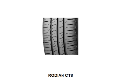 Nexen  tyre tubeless 205/16  8PR 110/108S ROADIAN CT8
