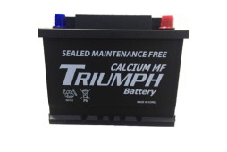 Triumph Battery 66 Amp. SMF56638 (DIN66)